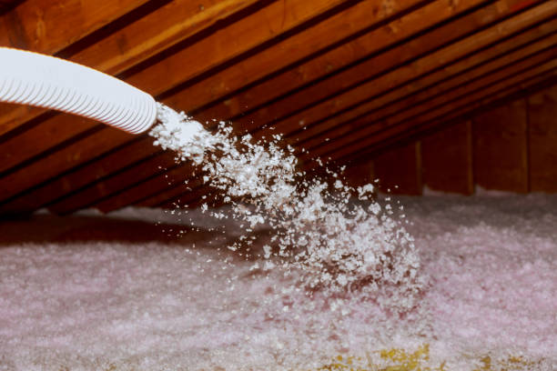 Best Eco-Friendly Insulation in Bloomsburg, PA