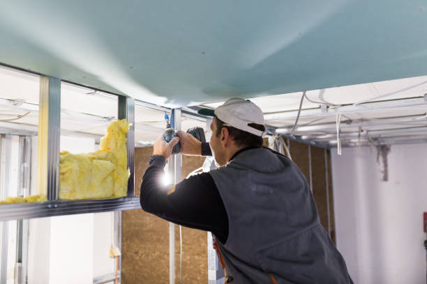 Best Cellulose Insulation in Bloomsburg, PA